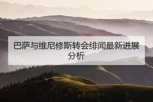 巴萨与维尼修斯转会绯闻最新进展分析
